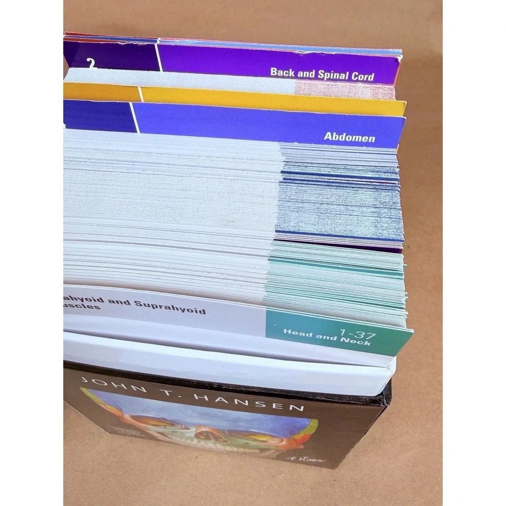 Netter's Anatomy Flash Cards 6th Edition John T Hansen Elsevier Medical Study